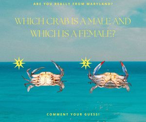 Image post by @routeoneapparel on Instagram