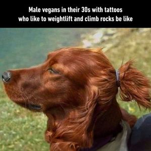 Image post by @9gag on Instagram