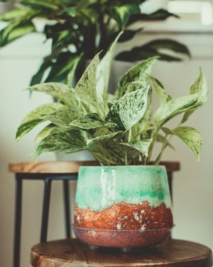 Image post by @ninamarie_creative on Instagram