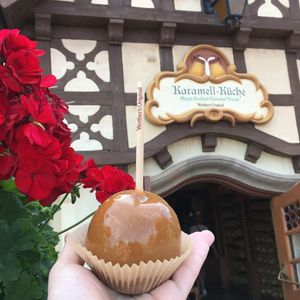 Image post by @disneyparks on Instagram