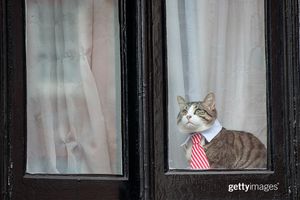 Image post by @gettyimages on Instagram