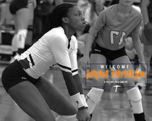Image post by @utepvb on Instagram