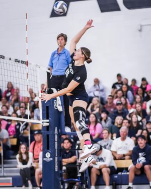 Image post by @usuvolleyball on Instagram