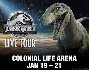 Image post by @coloniallifearena on Instagram