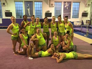 Image post by @uwgymnastics on Instagram