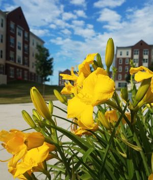 Image post by @shippensburgu on Instagram