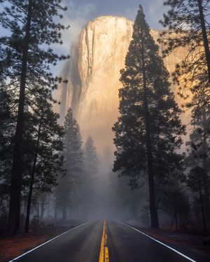 Image post by @nathanleeallen on Instagram