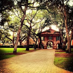 Image post by @collegeofcharleston on Instagram