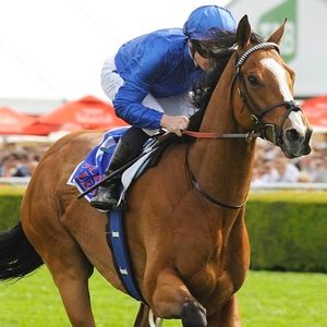 Image post by @australianturfclub on Instagram