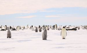 Image post by @white.desert.antarctica on Instagram