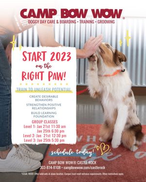 Image post by @campbowwowcastlerock on Instagram