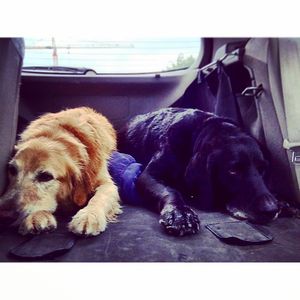 Image post by @amandakl on Instagram