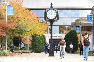 Image post by @hofstrau on Instagram