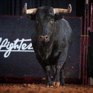 Image post by @bullfightersonly on Instagram