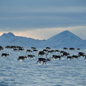Image post by @discovery on Instagram