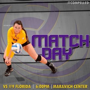 Image post by @lsuvolleyball on Instagram