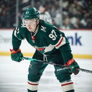 Image post by @minnesotawild on Instagram