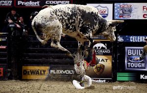 Image post by @gettysport on Instagram