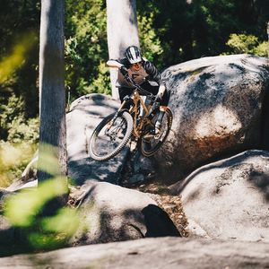 Image post by @taylorsbikeshop_taylorsville on Instagram