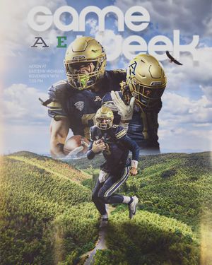 Image post by @zipsfb on Instagram
