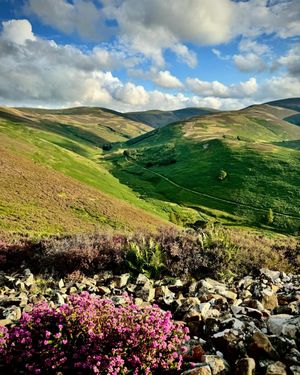Image post by @VisitScotland on Twitter