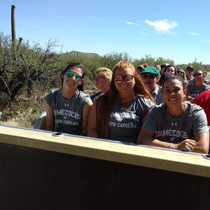 Image post by @gamecocksoftball on Instagram