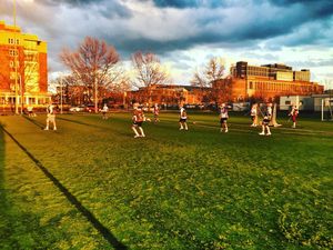 Image post by @illinilacrosse on Instagram