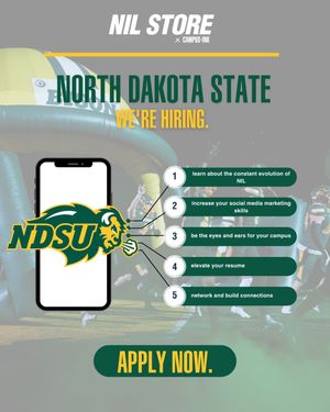 Image post by @ndsu.nil.store on Instagram