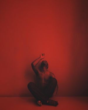 Image post by @vsco on Instagram