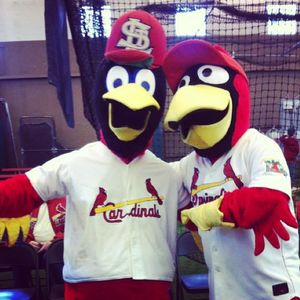 Image post by @springfield_cardinals on Instagram