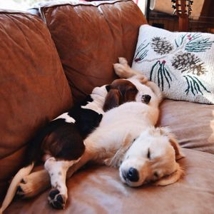 Image post by @themainemag on Instagram