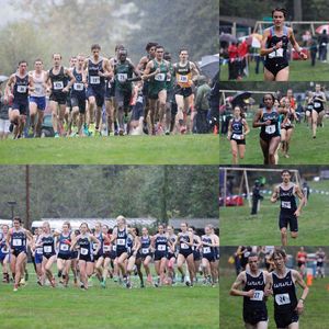 Image post by @wwutfxc on Instagram