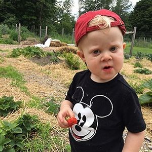 Image post by @kidsgardening on Instagram