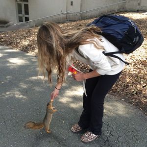 Image post by @calwlax on Instagram