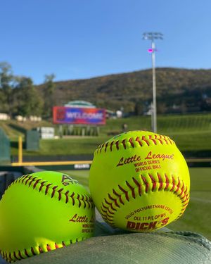 Image post by @littleleague on Instagram