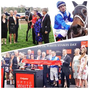 Image post by @australianturfclub on Instagram