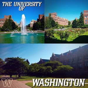 Image post by @uwgymnastics on Instagram