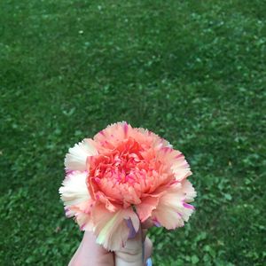 Image post by @scleggphotography on Instagram