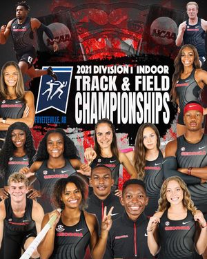Image post by @ugatrack on Instagram