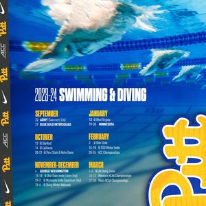 Image post by @pitt_swim_dive on Instagram