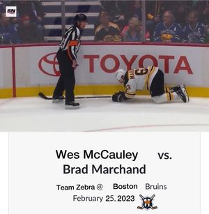 Image post by @hockeyfights on Instagram