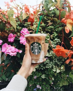 Image post by @starbucks on Instagram