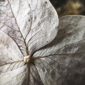 Image post by @moment on Instagram