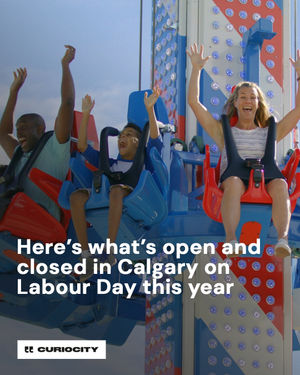 Image post by @curiocitycalgary on Instagram