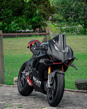Image post by @panigalers on Instagram