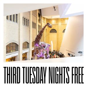 Image post by @ROMtoronto on Twitter