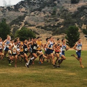 Image post by @uclaxc on Instagram
