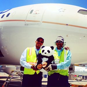 Image post by @united on Instagram