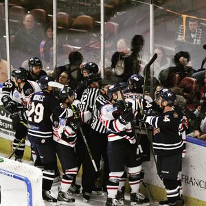 Image post by @swamprabbits on Instagram