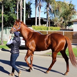 Image post by @australianturfclub on Instagram